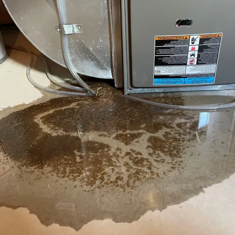 Pipe Burst and Leak Restoration in Adams County, OH