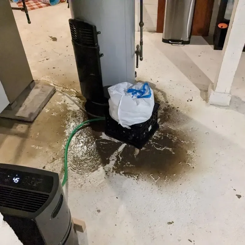 Sewage Backup Cleanup Service in Adams County, OH
